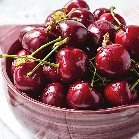 Cherry 'Stella' Bare Root - Image 3