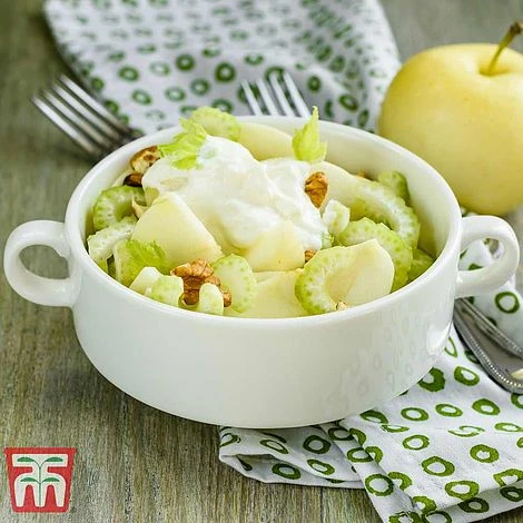 Apple 'Golden Delicious' - Image 4