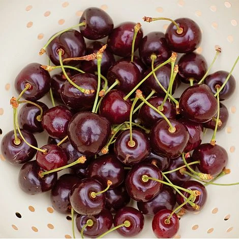 Cherry 'Hartland' (patio) - Image 2