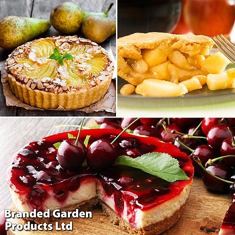 Mini Orchard Pie Trio - Image 2