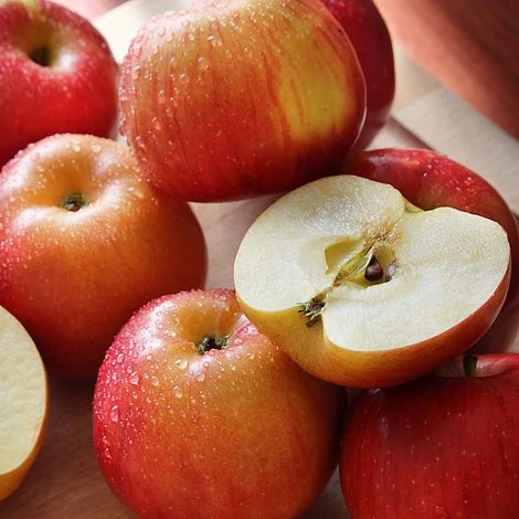 Apple 'Family Apple Tree' - Image 3